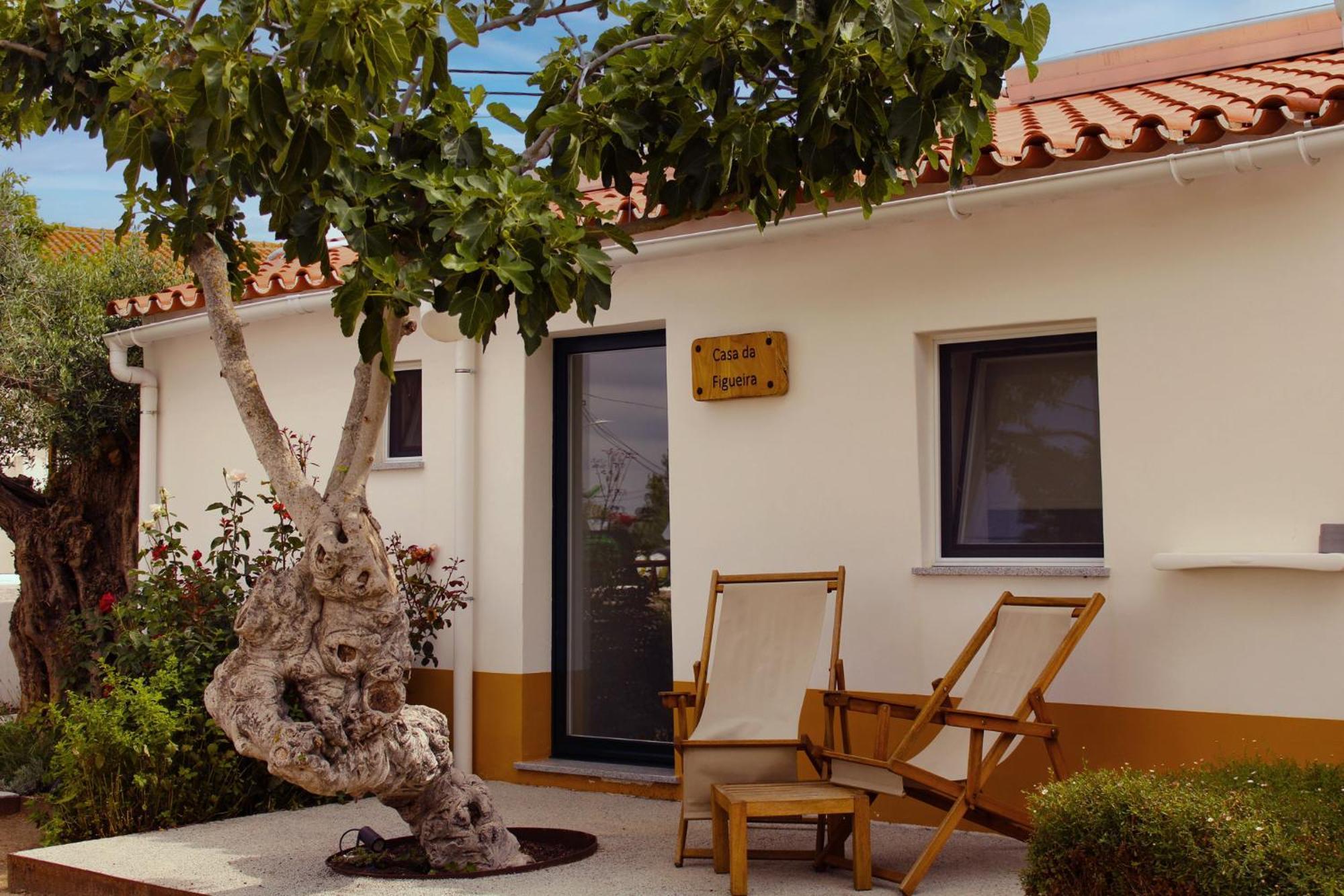 São Brás Do Regedouro - Turismo Na Aldeia Agroturismo