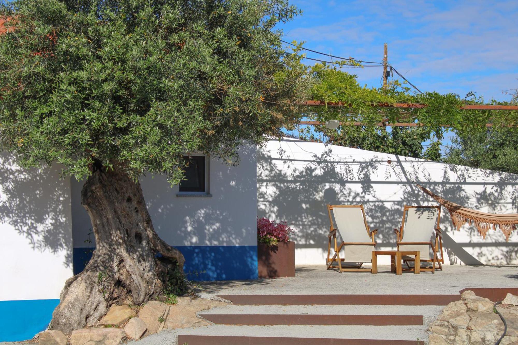 Agroturismo São Brás Do Regedouro - Turismo Na Aldeia *